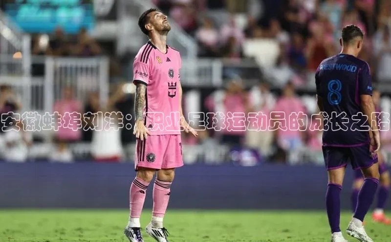 杏悦登陆路线百度识图