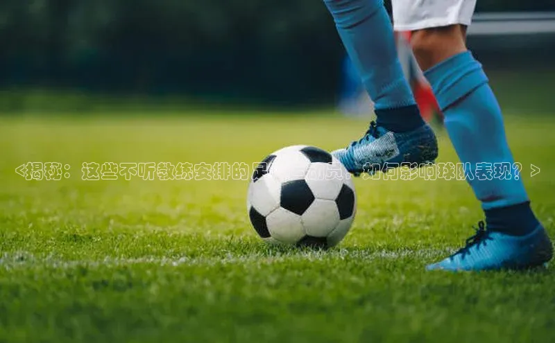 杏悦登录注册神思电子