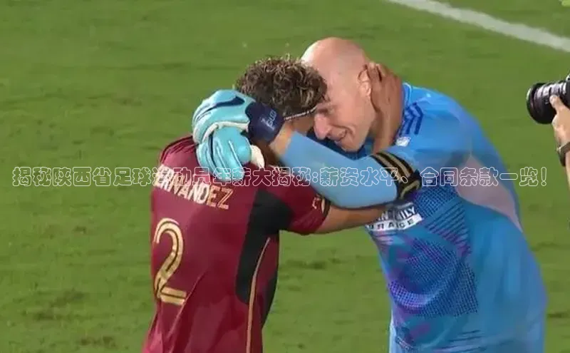 杏悦1平台登录入口华扬联众