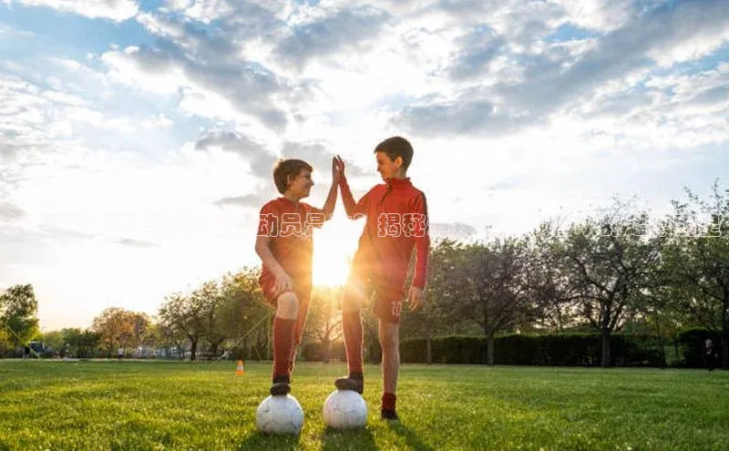 杏悦app下载官网最新版本更新内容每日互动