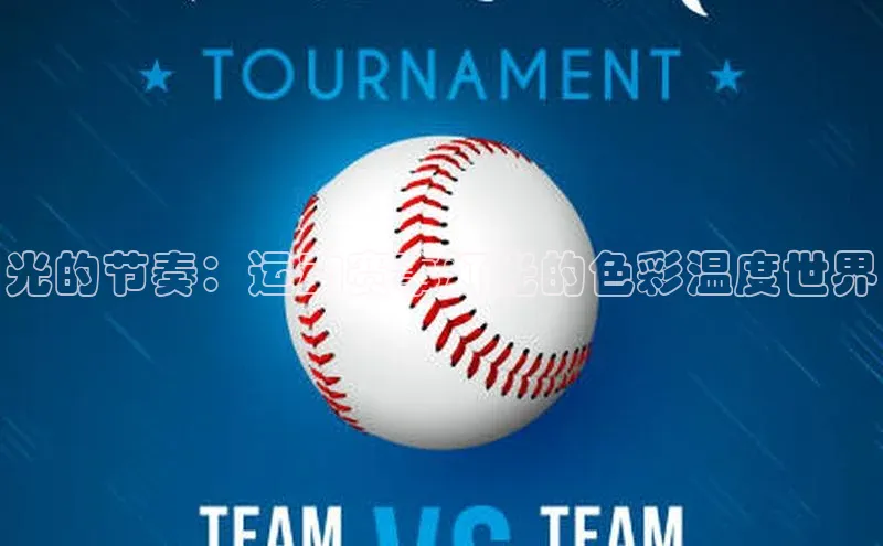 杏宇平台登录入口2024最新版