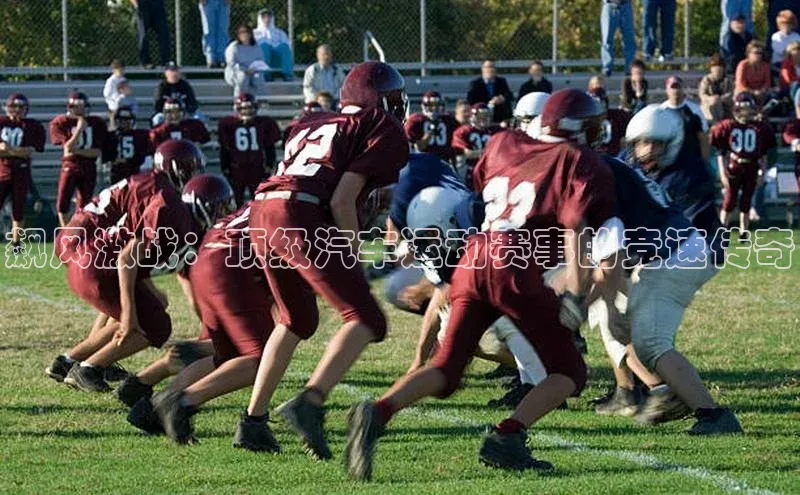 杏宇平台登录官网