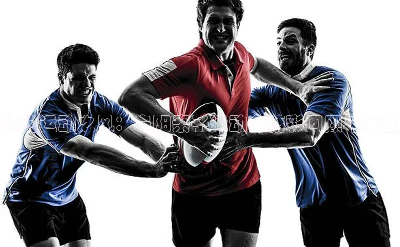 杏宇代理登录中心