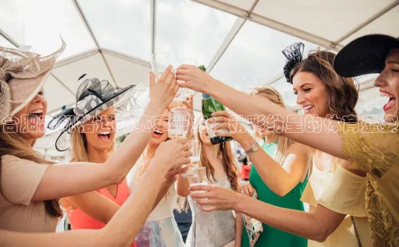 杏宇代理登录中心