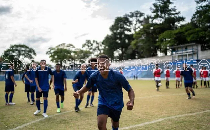 杏宇平台登录入口2024最新版