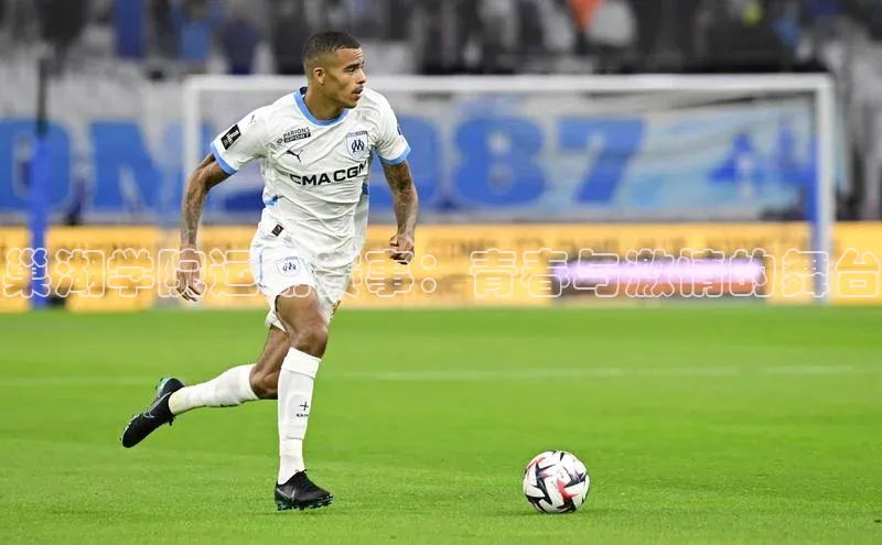 杏宇平台登录入口注册账号