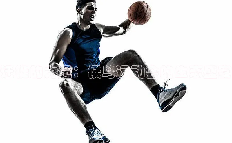 杏宇游戏中心官网入口