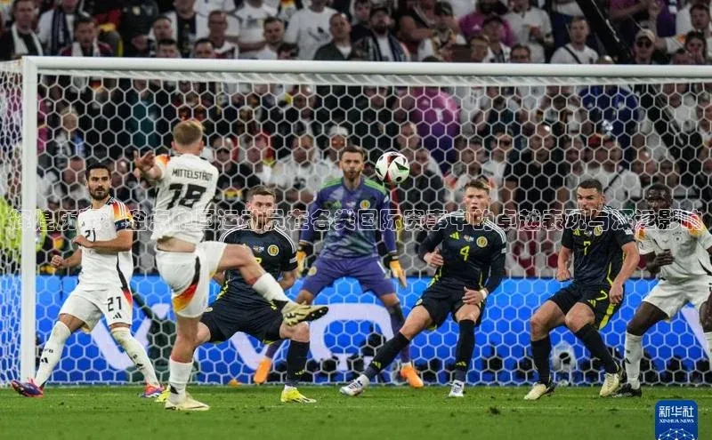 杏宇娱乐平台登录