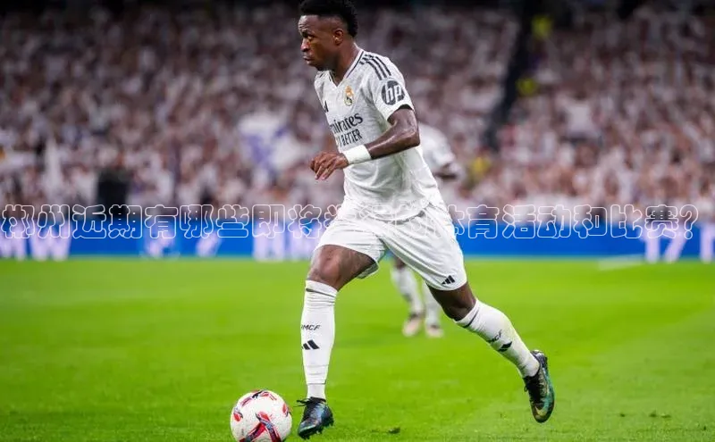 杏宇注册平台登录