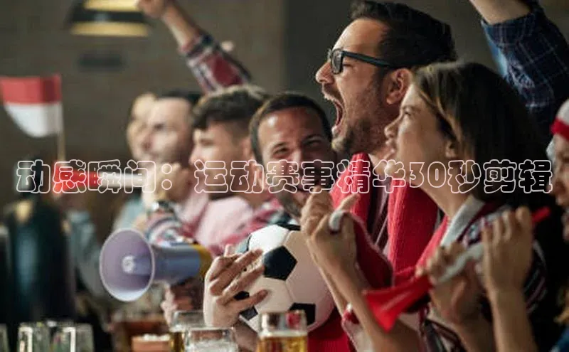 杏宇代理登录中心