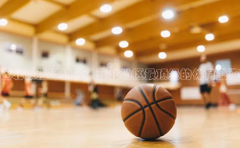杏宇平台登录入口注册账号