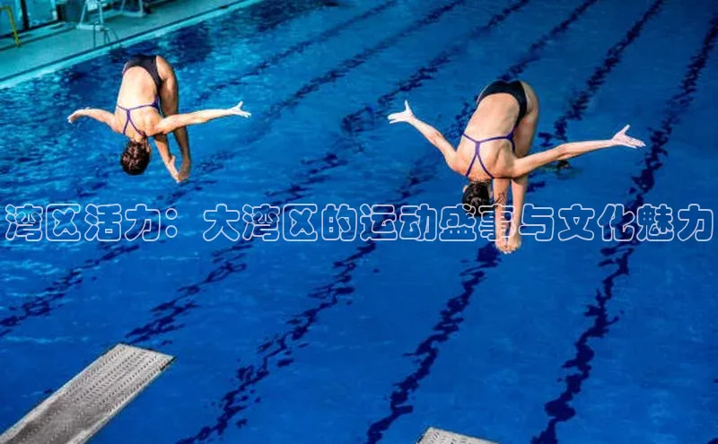 杏宇娱乐平台登录